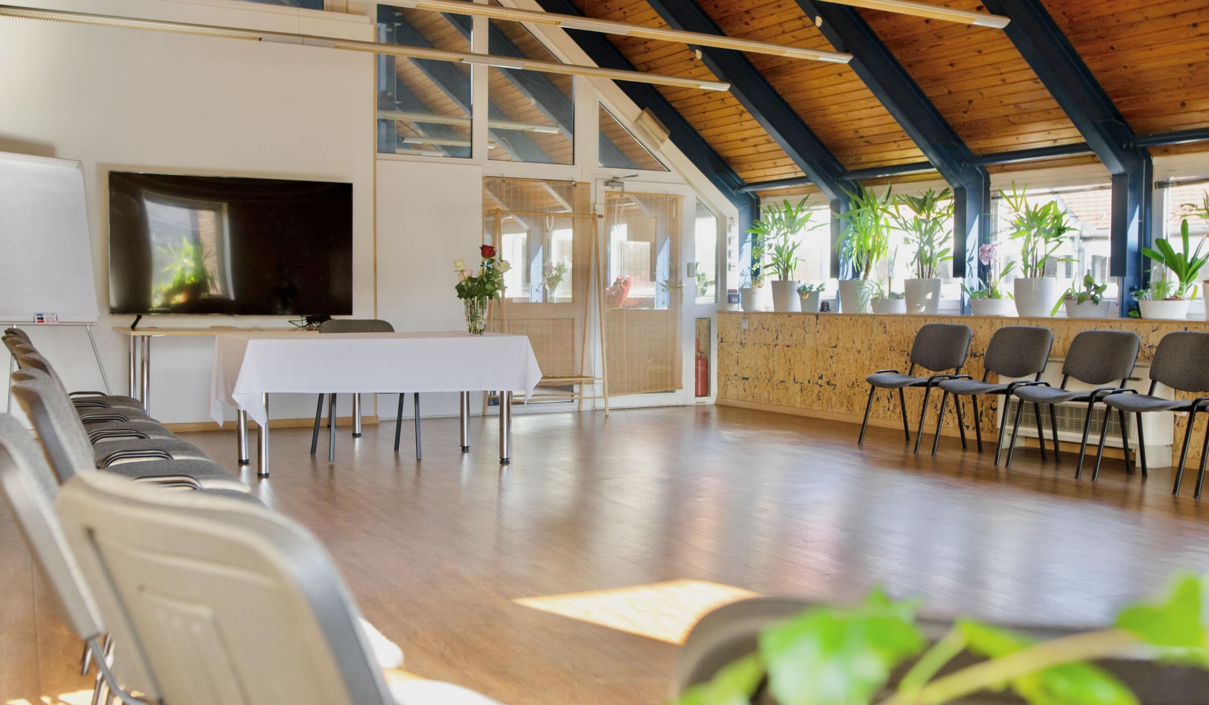 Selfness - Harmónia Palota Terembérlés Budapest Belvárosában